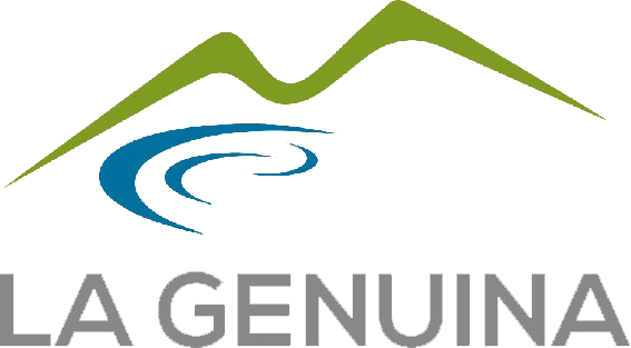 logo2.png